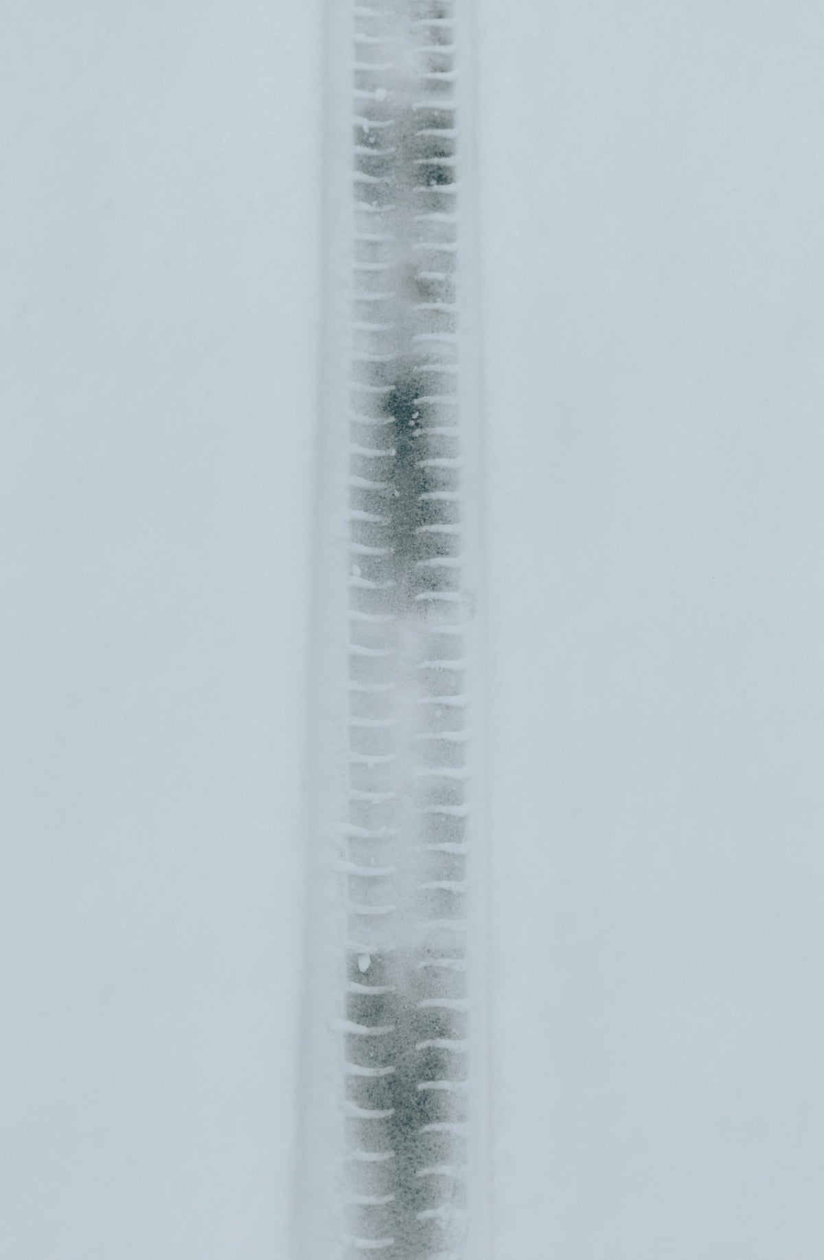 a tall tube of toothpaste on a white background