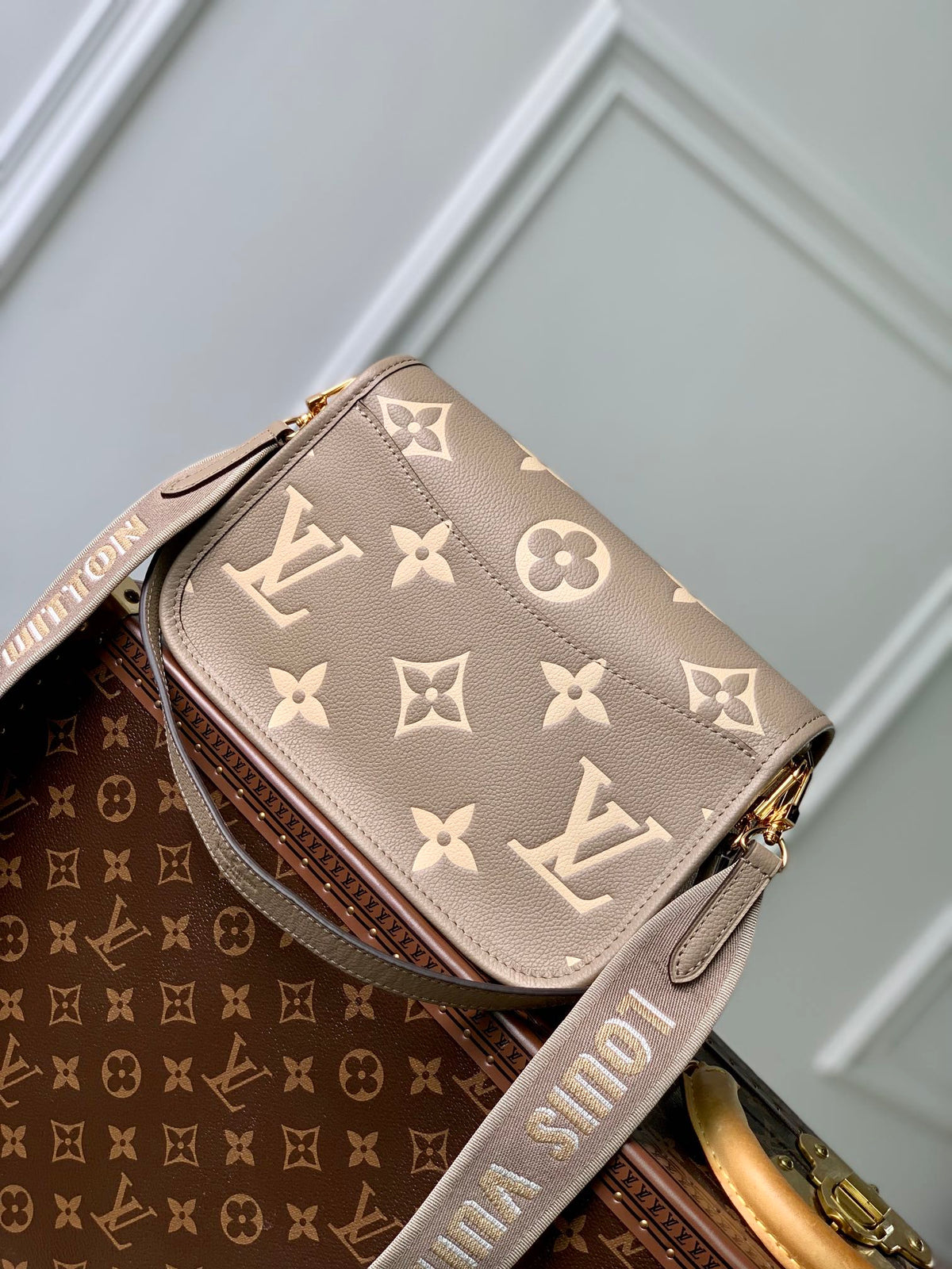 diane 24 dove cream biorcolor monogram empreinte leather