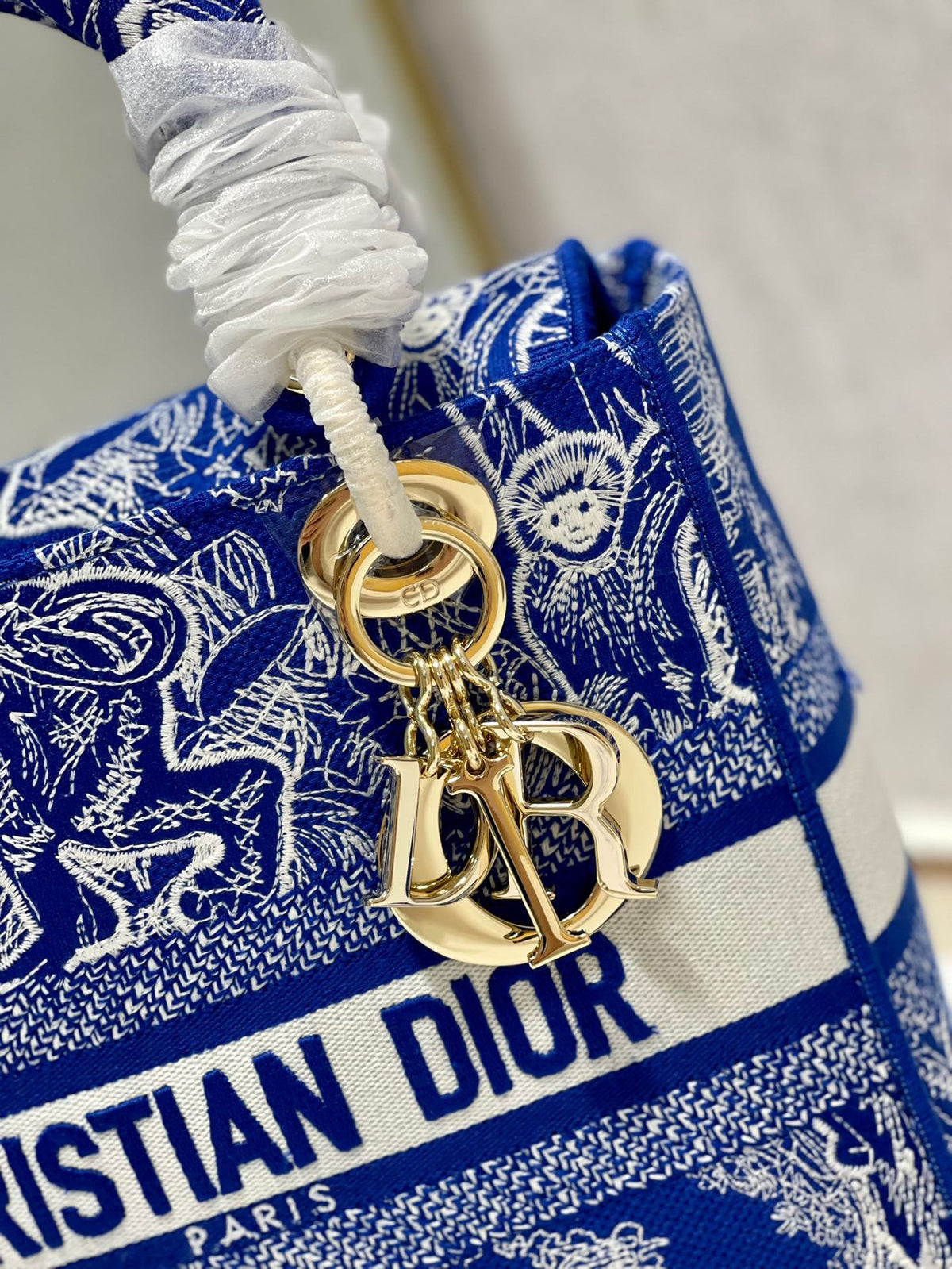 CD New Blue Tiger 24 Lady Dior Bag Canvas 336715