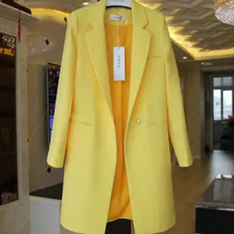 Mid-length Suit Spring Women's Long Sleeve Plus Size Nylon Slimming Versatile Straight Style hercurva