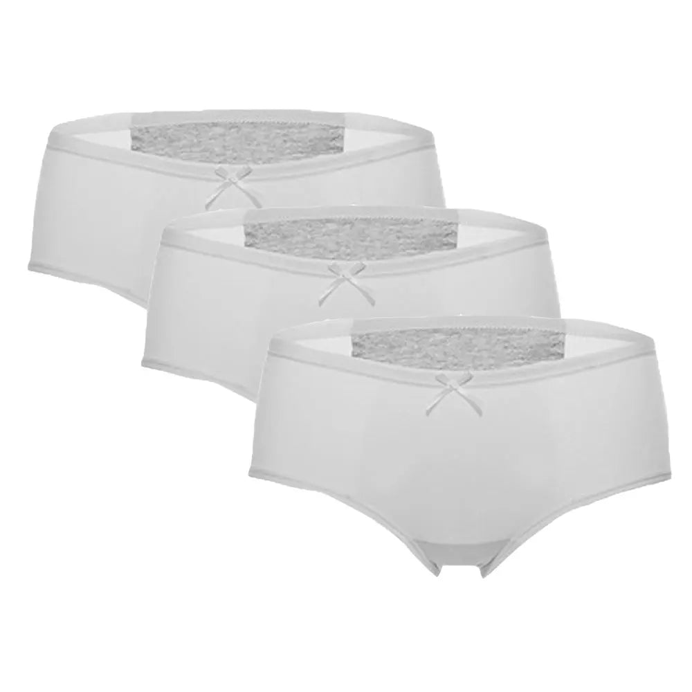 3Pcs Pack Menstrual Panties Women Underwear hercurva