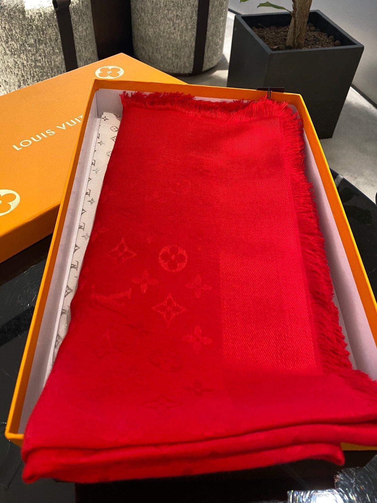Louis Vuitton Scarf