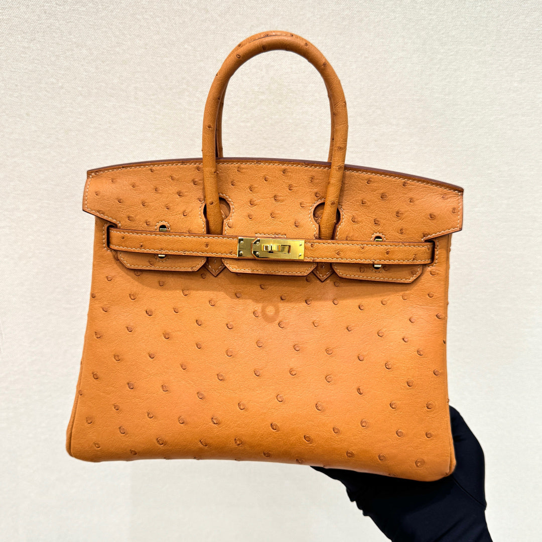 High-end Hermes 2026 Birkin 25cm Ostrich Leather