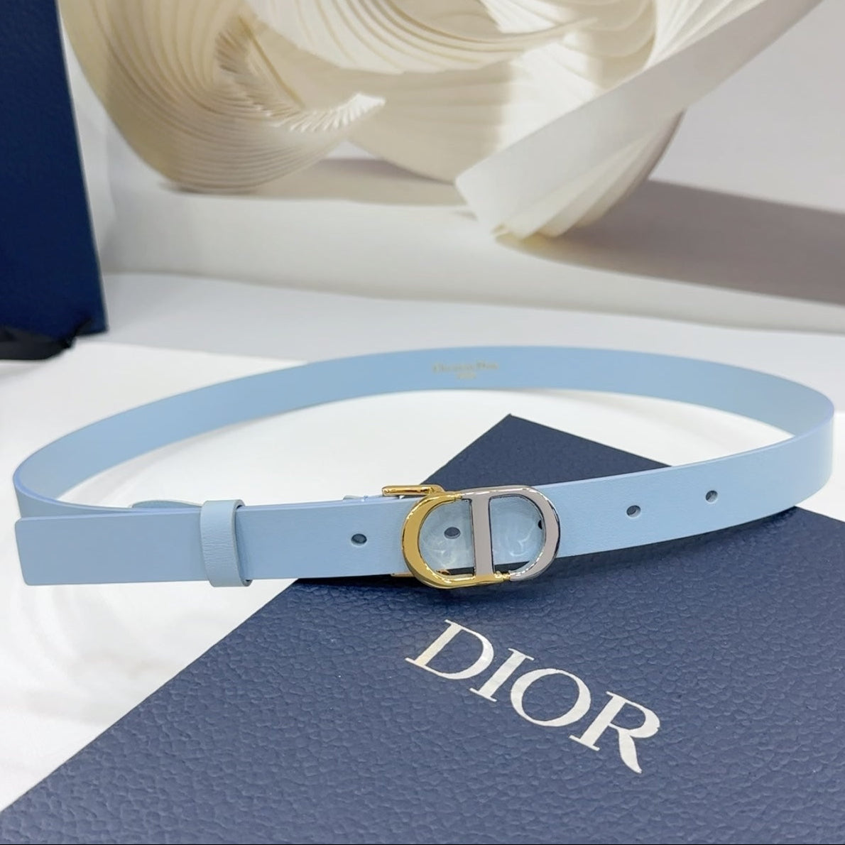 Dior 2026 Two-Tone Buckle Belt 20mm Leather 186140