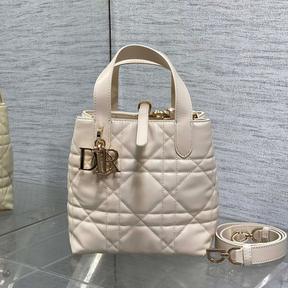 Dior 2026 Toujours Vertical Tote Bag 16cm Leather 406609