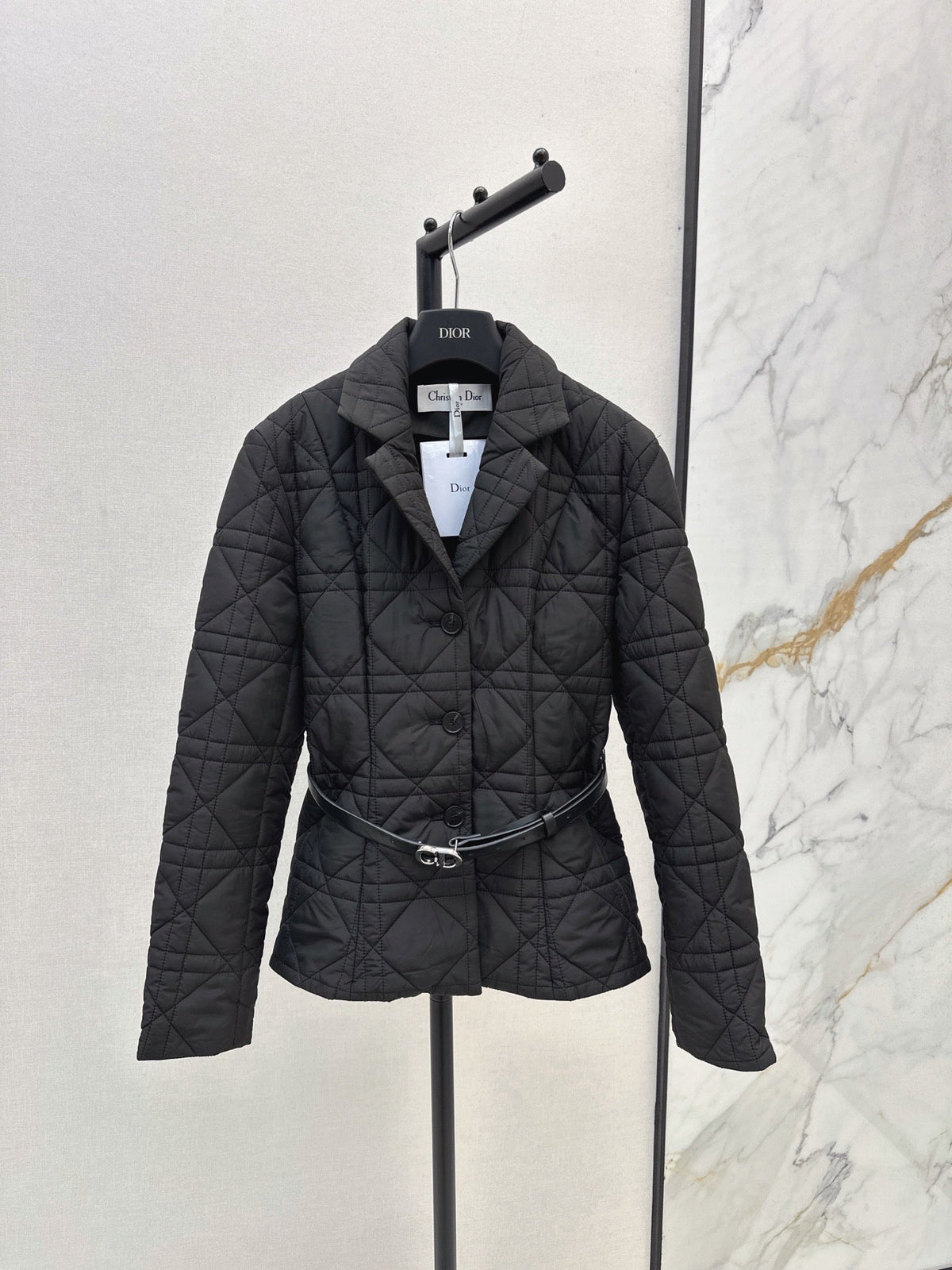 Dior 2026 Cannage Quilted Jacket Down Nylon 773944