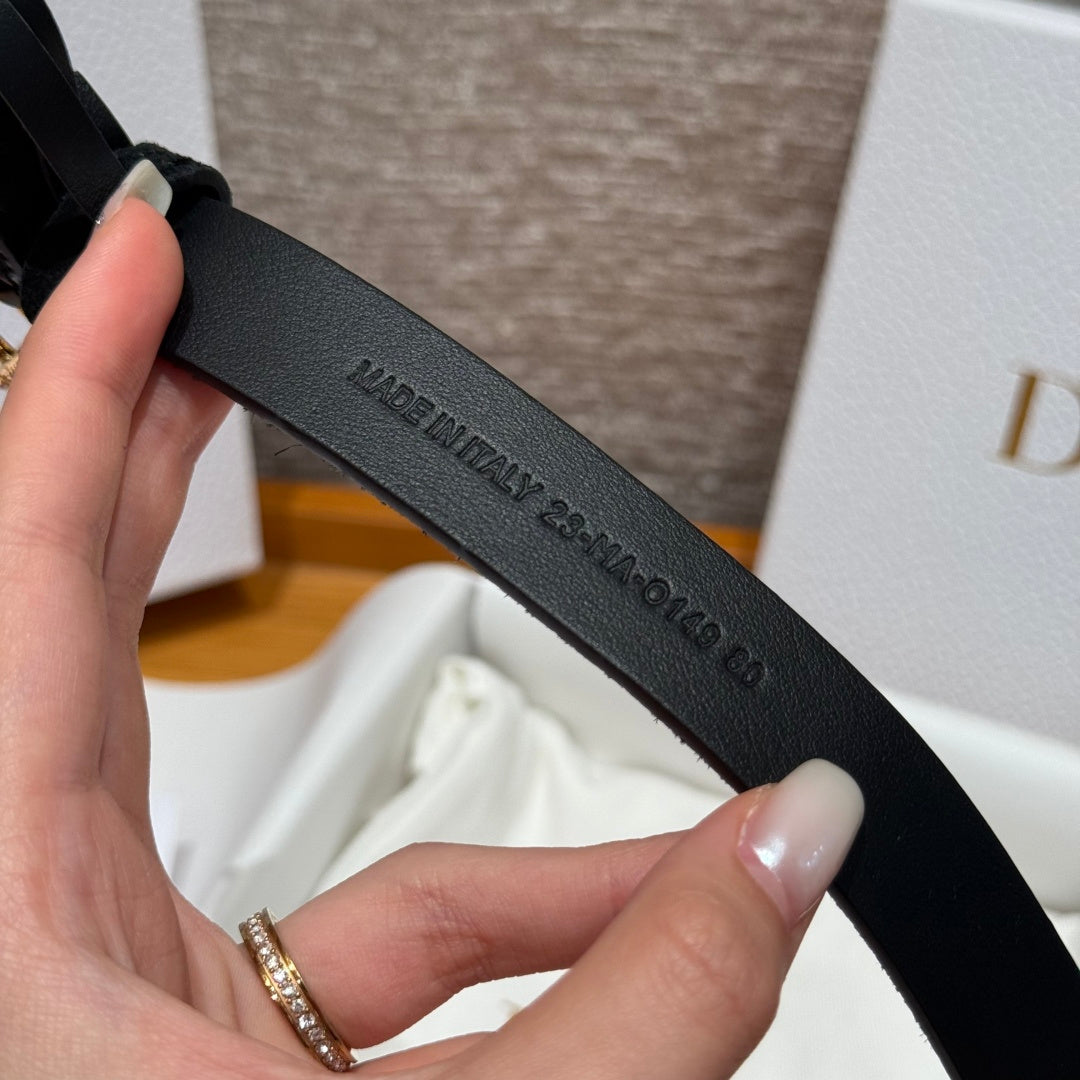Dior 2026 Rhinestone CD Buckle Belt 20mm Suede 193831