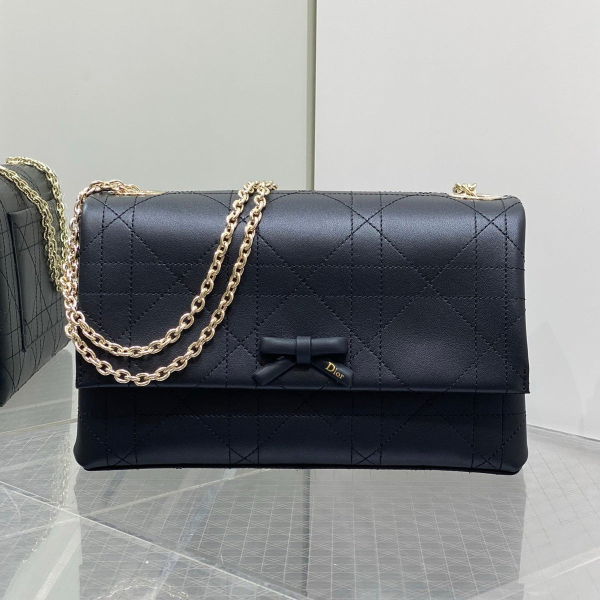 Dior 2026 Small Dior Promenade Flap Bag 25cm Leather Canvas 407157