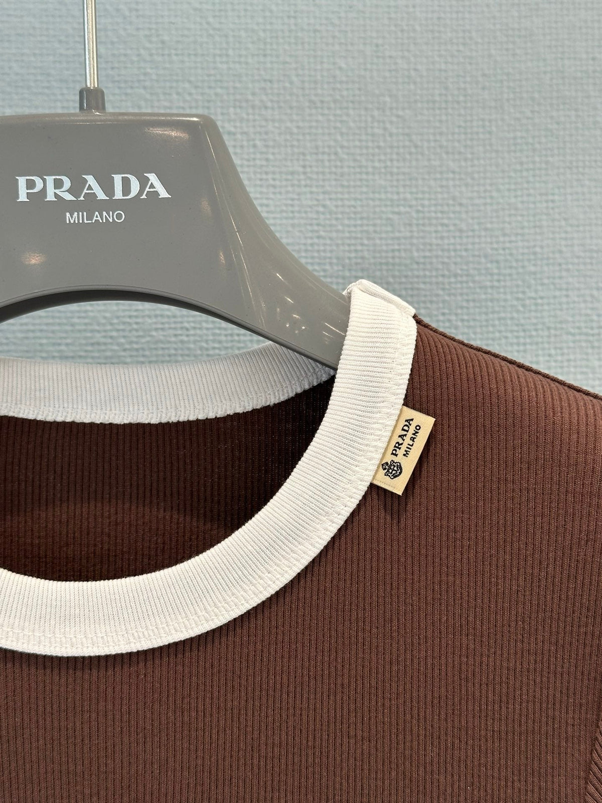 Prada 2026 Shirt Cotton 653681