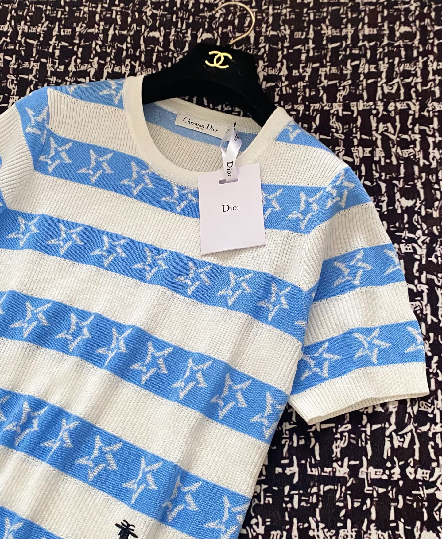 CD 2025 Striped Short-sleeved T-shirt Blue White tencel 606659