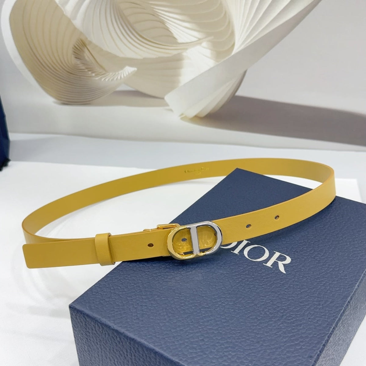 Dior 2026 Two-Tone Buckle Belt 20mm Leather 186140