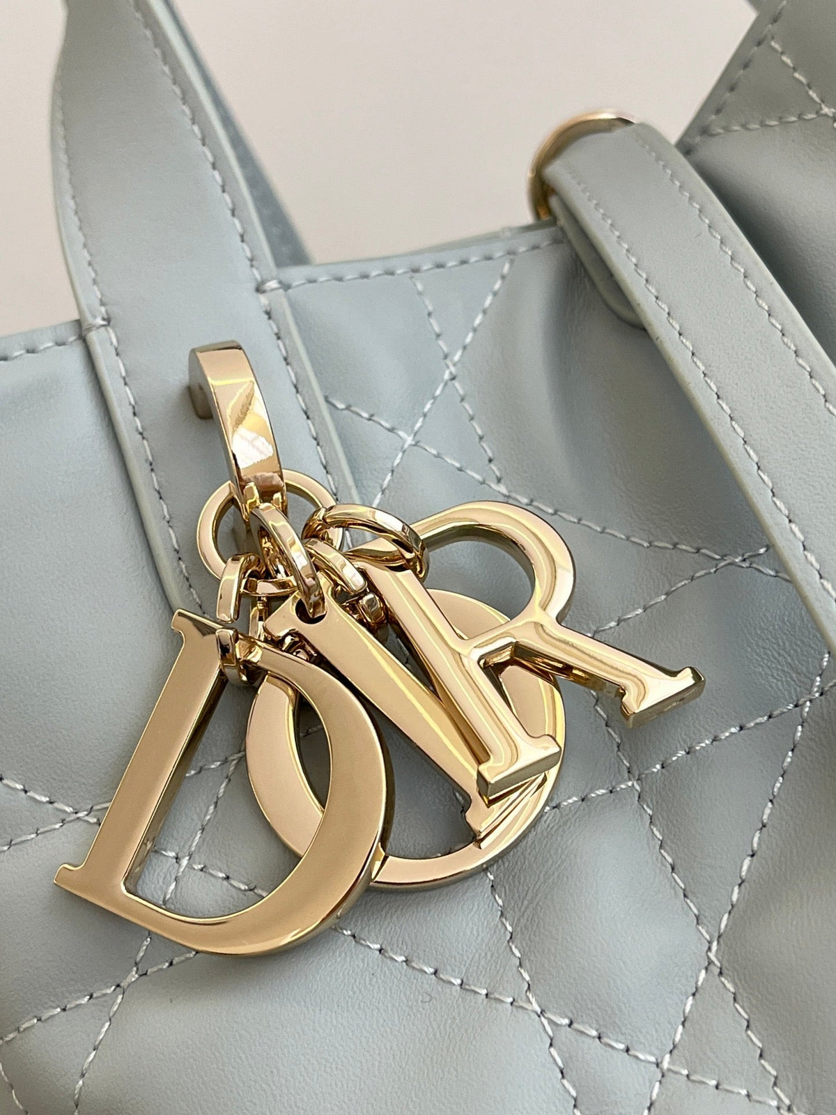 Dior 2026 Toujours Vertical Tote Bag 16cm Leather 406609