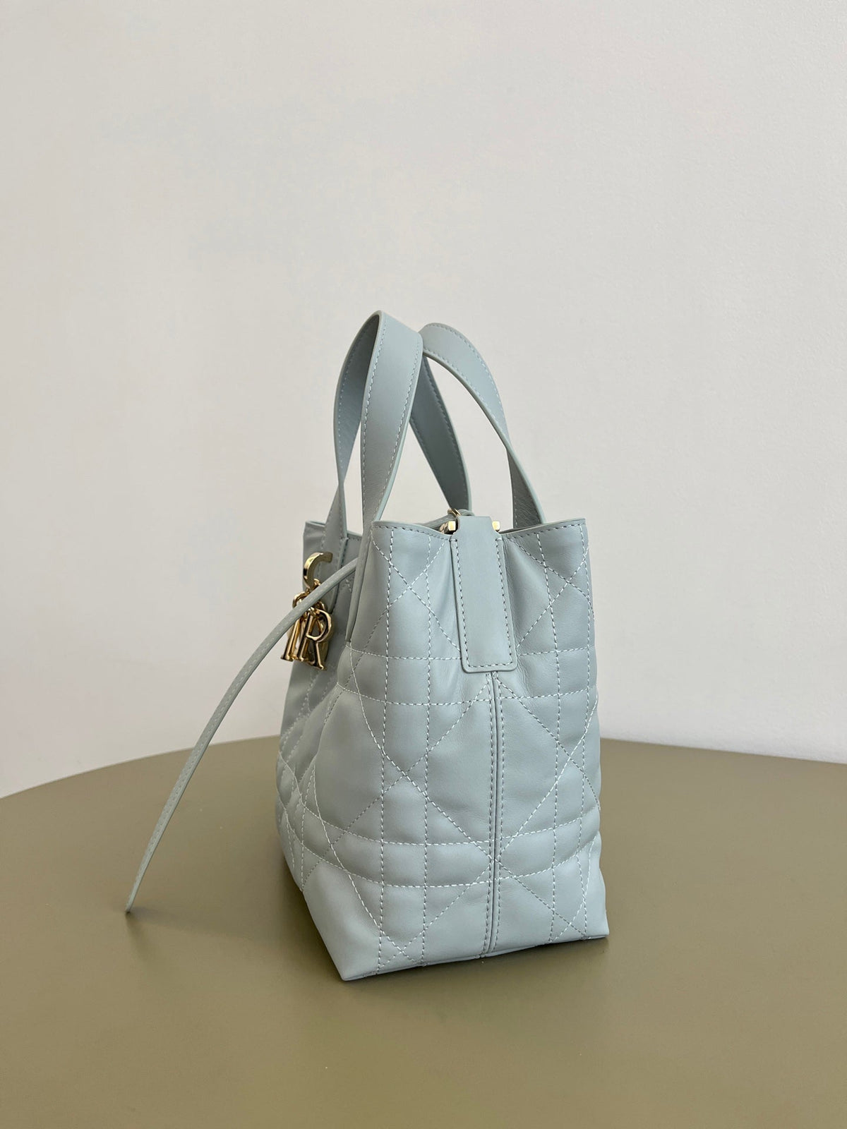 Dior 2026 Toujours Vertical Tote Bag 16cm Leather 406609
