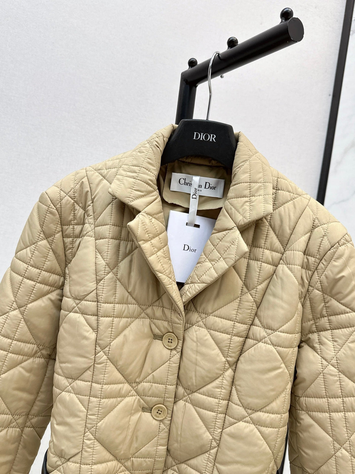 Dior 2026 Cannage Quilted Jacket Down Nylon 773944